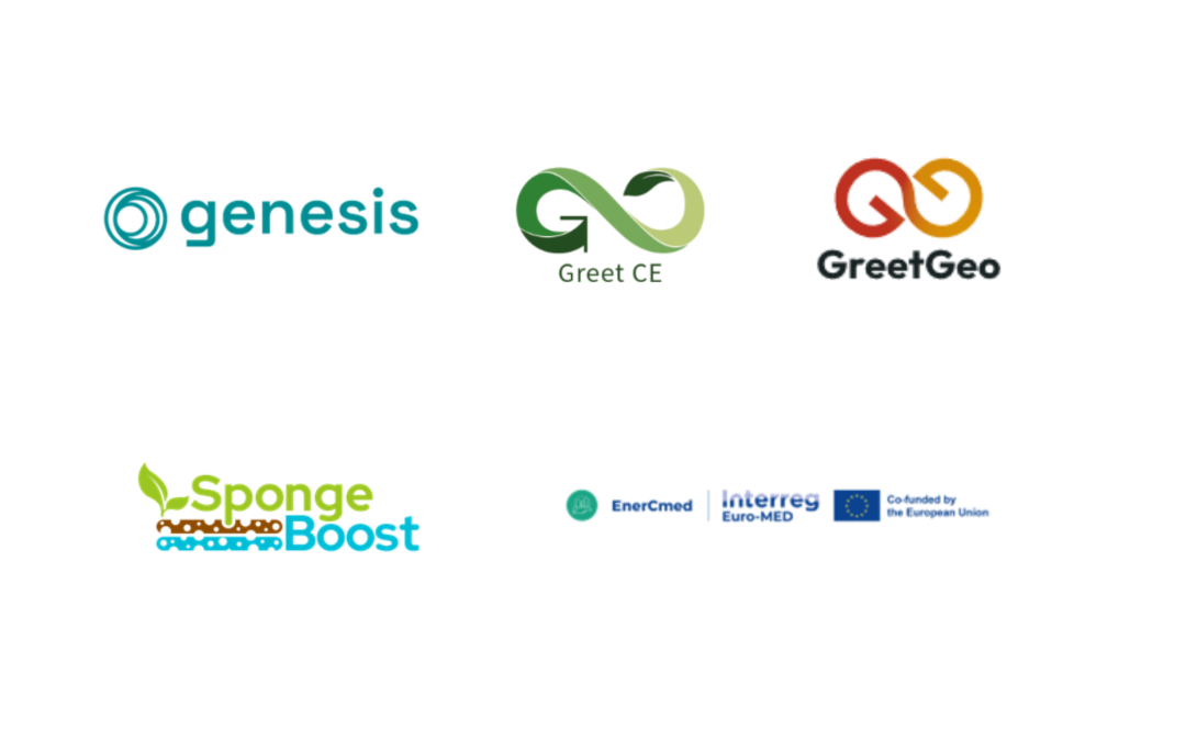 Clustering Workshop of freshwater related European projects: Genesis, Greet CE, Greet Geo, EnerCMed and SpongeBoost